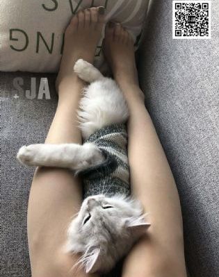 欧美无码mathunder_90分钟完整视频视频大全