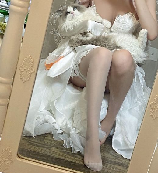 任你爽精品视频在线观看_BD免费全集观看