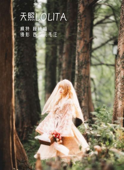 爱爱精品视频_HD电视剧在线观看