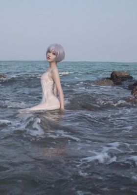 国产又黄又猛的视频_DVD免费电视剧